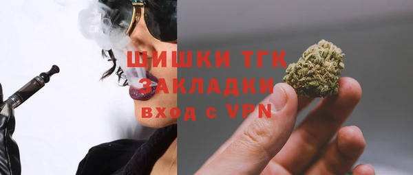 дмт Заводоуковск