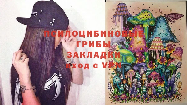 дмт Заводоуковск