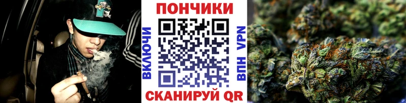 Канабис ГИДРОПОН Северская